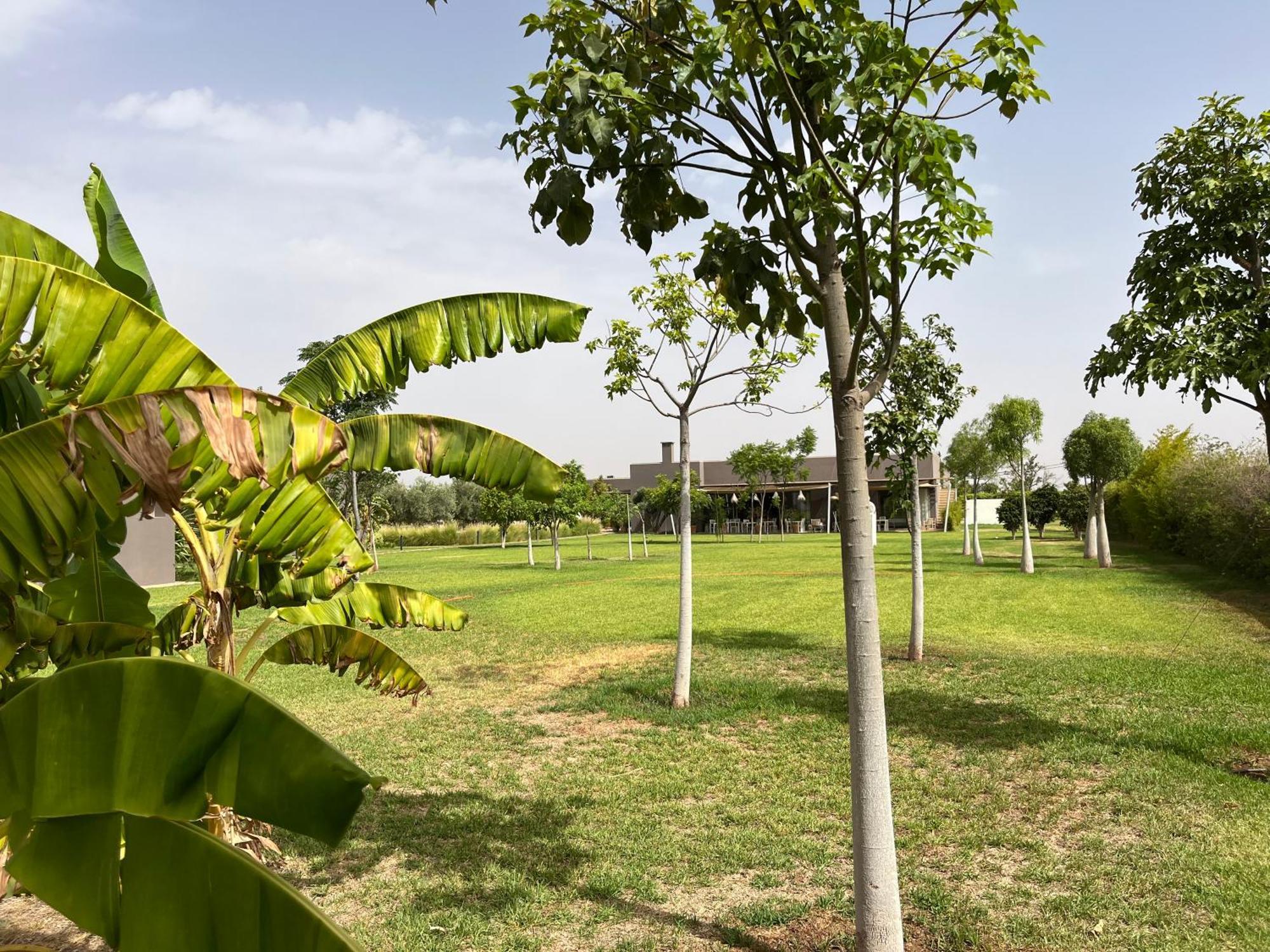 Villa Jardins D'Isa Lagouassem Dış mekan fotoğraf
